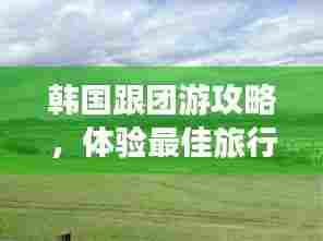 韩国跟团游攻略，体验最佳旅行体验