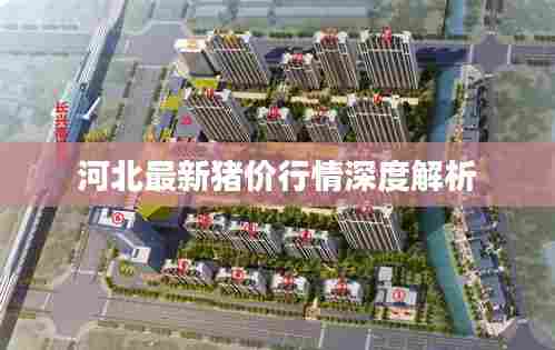 河北最新猪价行情深度解析