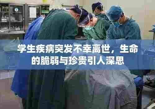 学生疾病突发不幸离世，生命的脆弱与珍贵引人深思