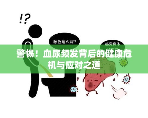 警惕！血尿频发背后的健康危机与应对之道