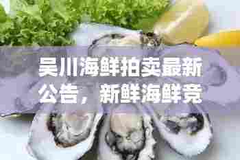 吴川海鲜拍卖最新公告，新鲜海鲜竞拍信息一网打尽！