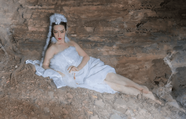 白狐 老版本,专业解答实行问题&amp;nShop_v2.615