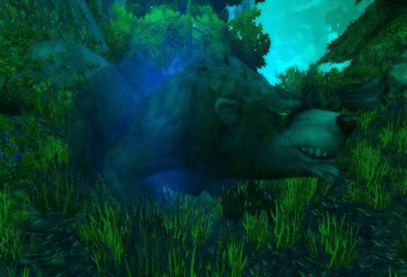 新版本德鲁伊,完整的执行系统评估 HDR版_v9.401