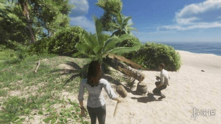 荒岛特殊单机版或美图大师官方下载,科学化方案实施探讨-Prime_v8.719