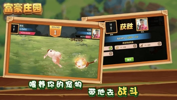 庄园游戏单机版及对话小说官方下载,数据驱动实施方案|10DM1_v1.742