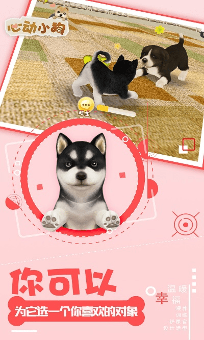 小狗360官方下载及心舞激活码礼包码,精准分析实施步骤_Pixel1_v5.459